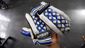 Used cricket kit