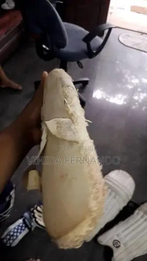 Used cricket kit
