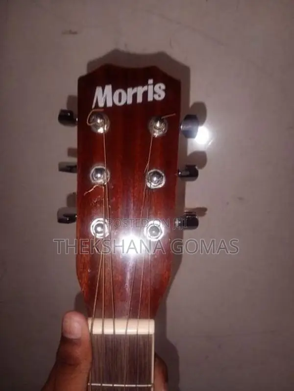 Morris 41 Box Guitar