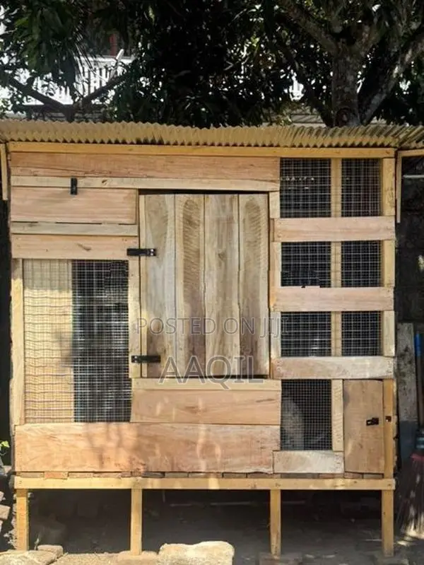 Bird Cage