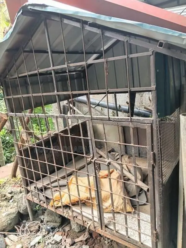Dog Cage
