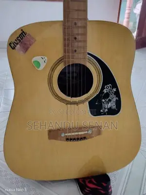 Guitar