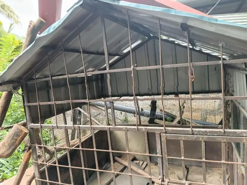 Dog Cage