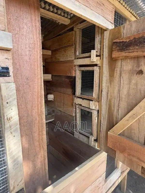 Bird Cage