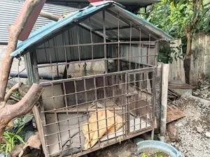 Dog Cage