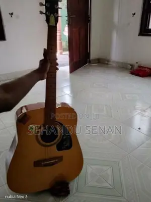 Guitar