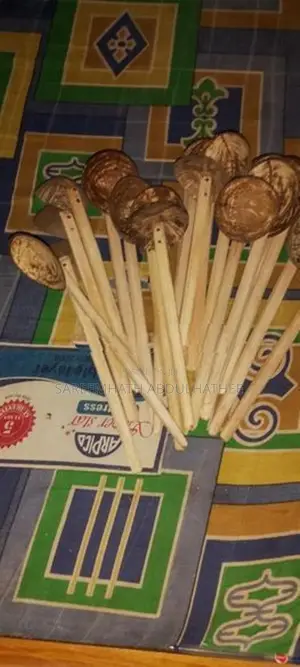 Coconut Shell Spoons