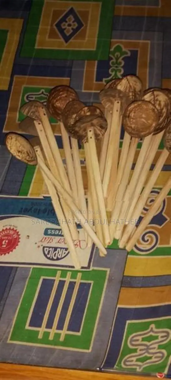 Coconut Shell Spoons