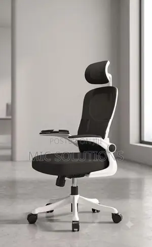 Premium Ergonomic Office Chair