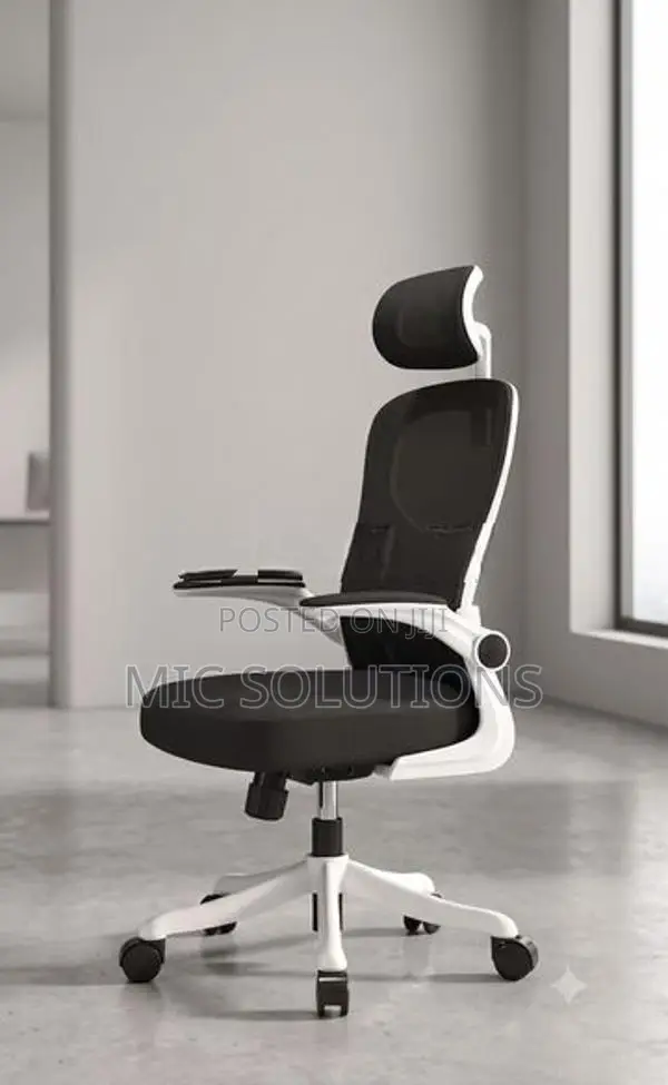 Premium Ergonomic Office Chair