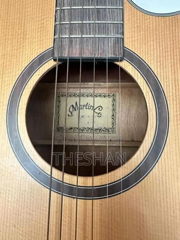Martin Lee Semi-Acoustic Guitar