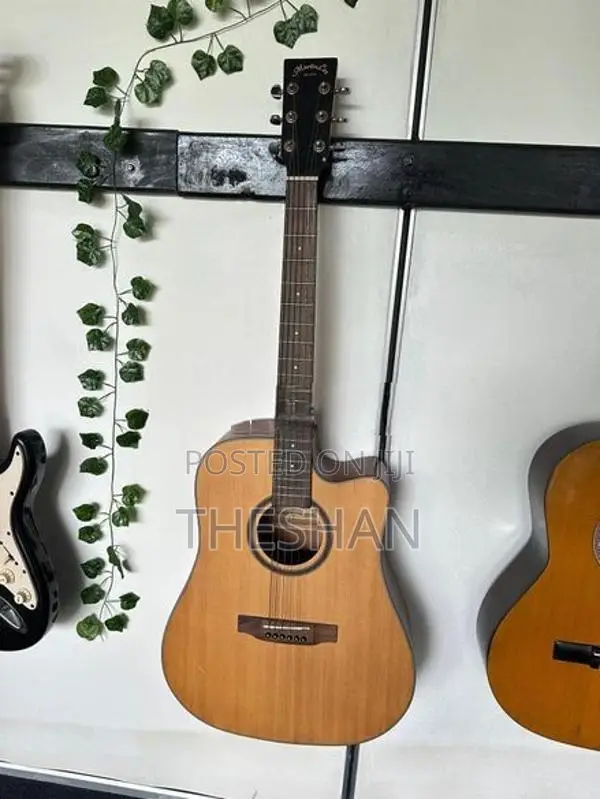 Martin Lee Semi-Acoustic Guitar