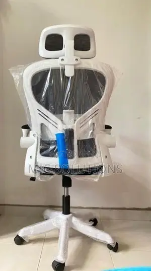 Premium Ergonomic Office Chair