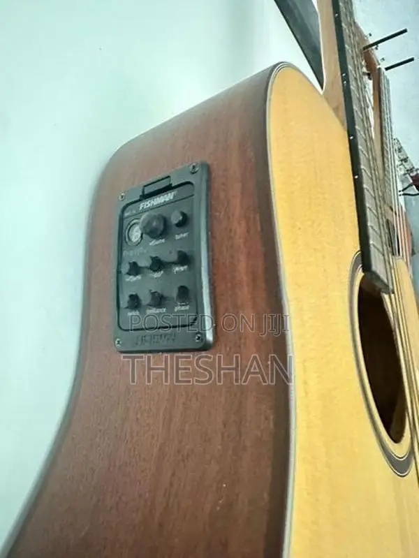 Martin Lee Semi-Acoustic Guitar