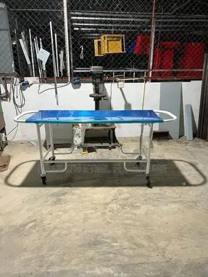 Patient Trolley Bed