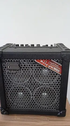 Roland MICRO CUBE RX