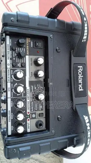 Roland MICRO CUBE RX