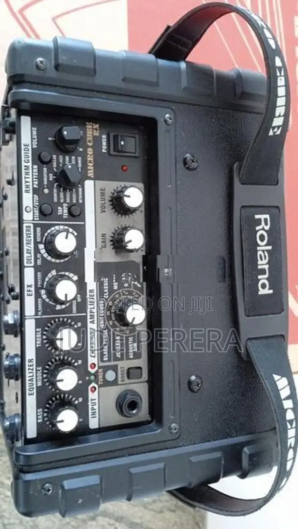 Roland MICRO CUBE RX