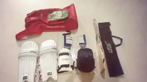 Cricket item