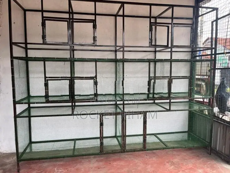 Bird Cage