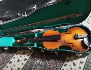 Violin