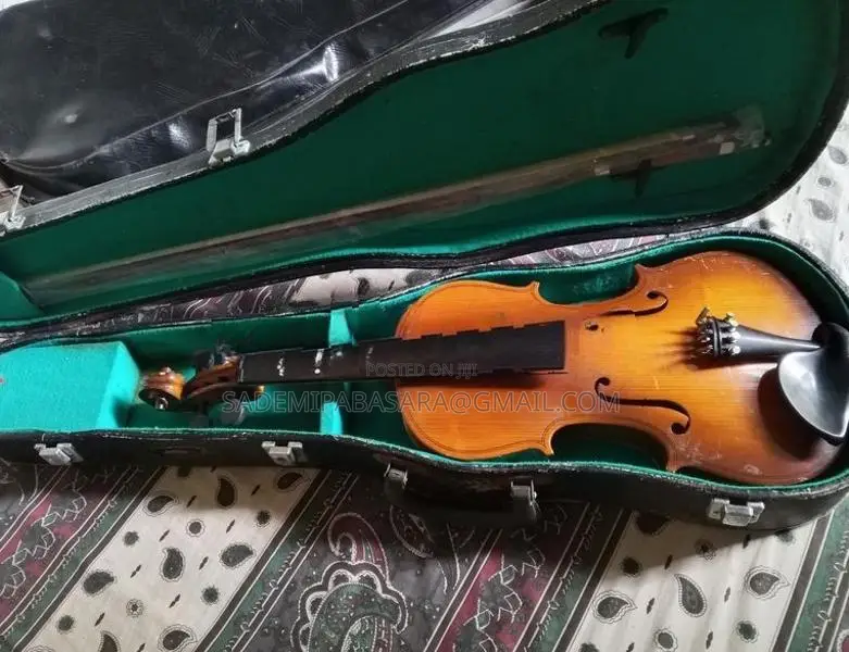 Violin