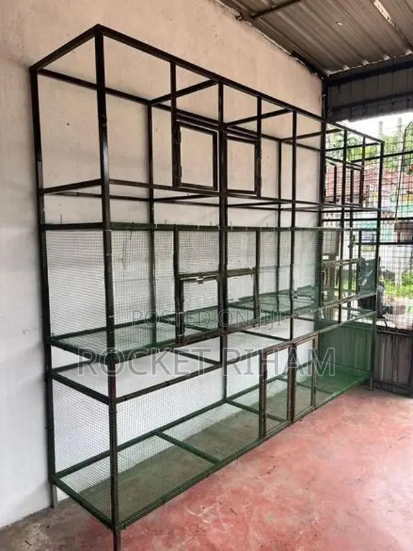 Bird Cage
