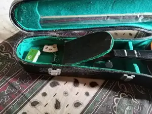 Violin