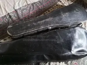 Violin