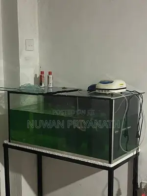 3ft Fish Tank