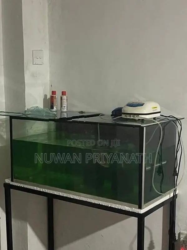 3ft Fish Tank