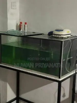 3ft Fish Tank