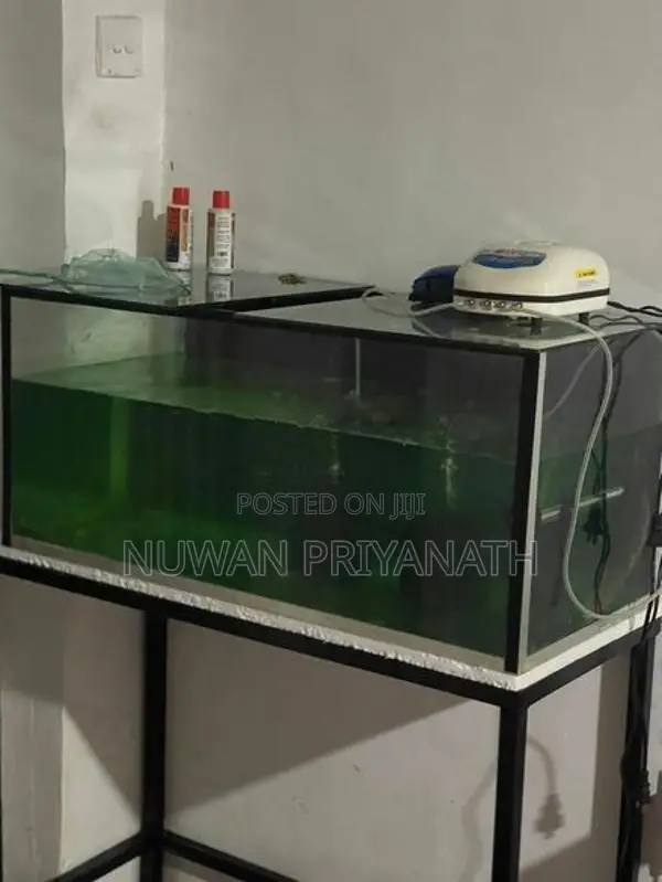 3ft Fish Tank