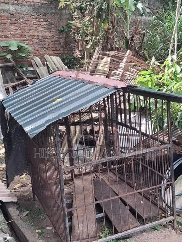 Dog Cage