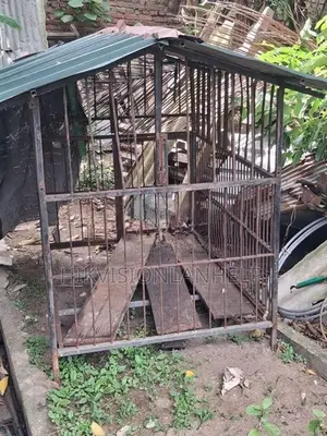 Dog Cage