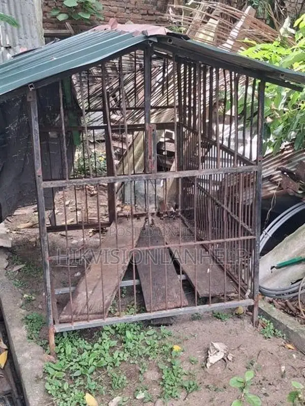 Dog Cage