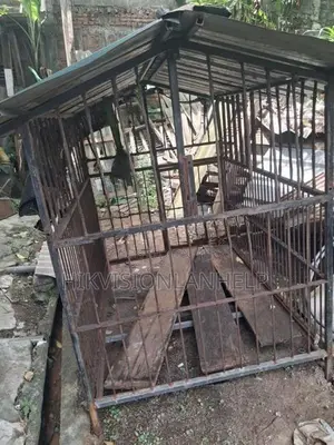 Dog Cage