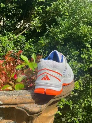 Adidas Cricket Shoes