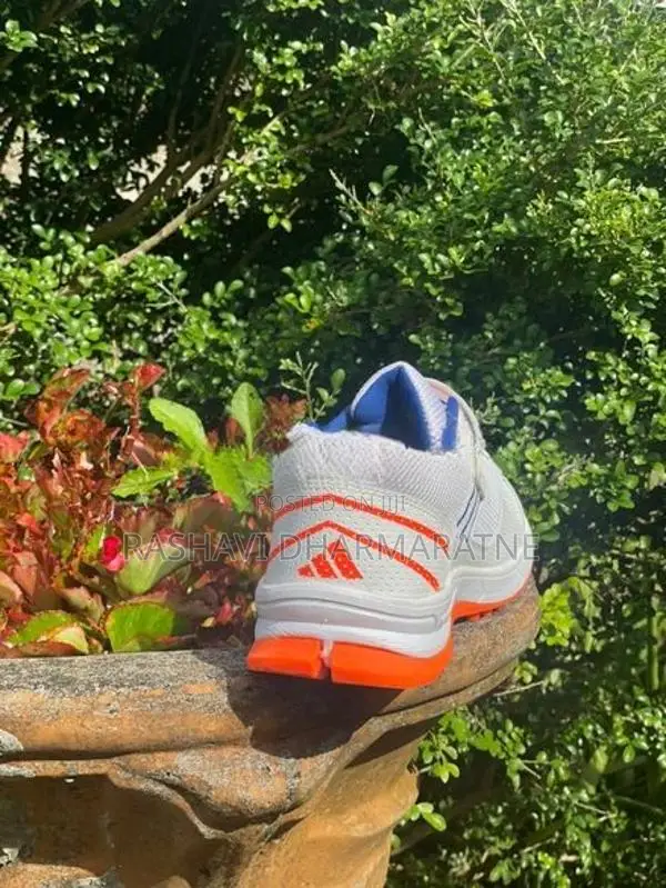 Adidas Cricket Shoes