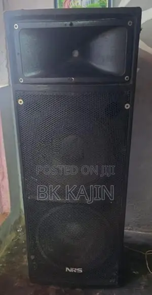 NRS Box With Mixture Amplifier