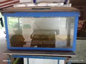 Fish Tank with Fishes