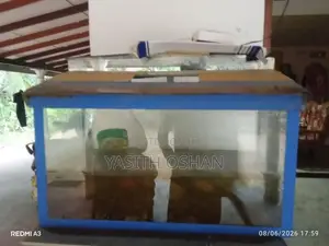 Fish Tank with Fishes