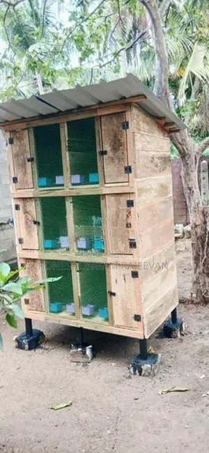 புறா கூடு