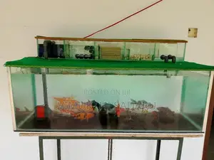 Fish Tank