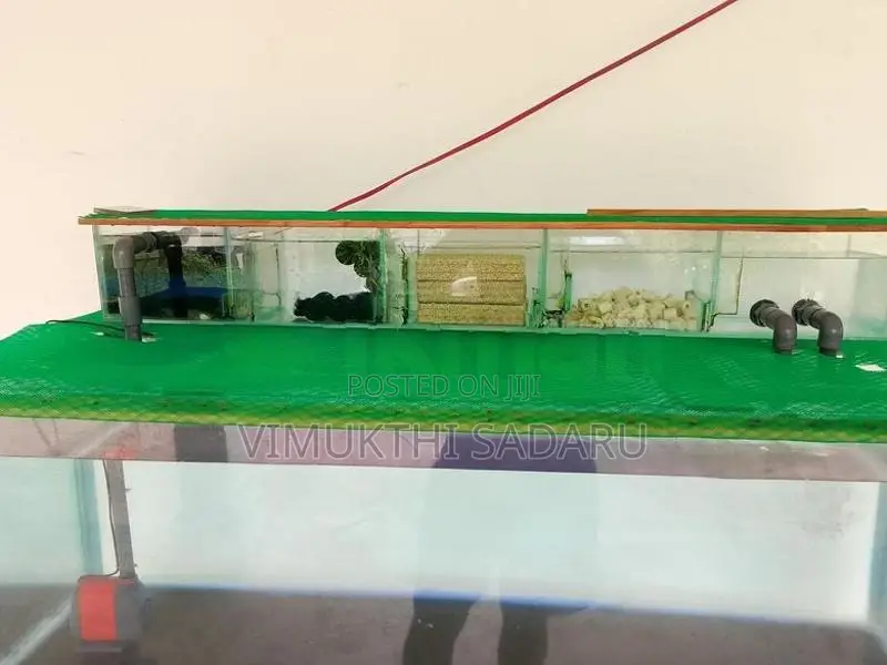 Fish Tank