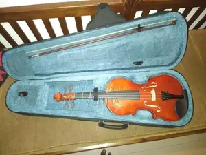 Violin
