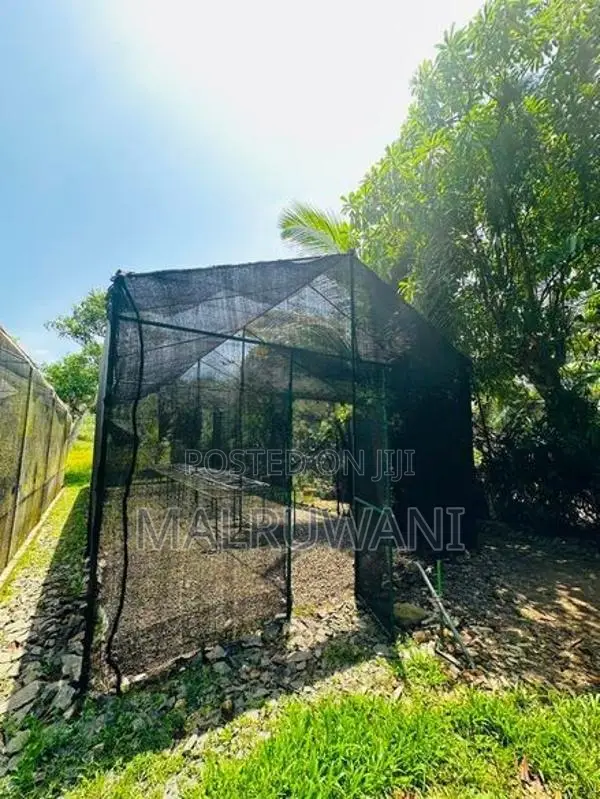 Orchid Net House