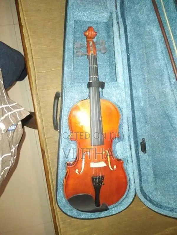 Violin