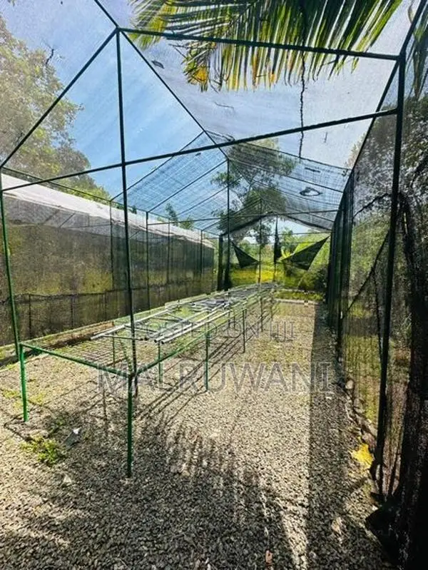 Orchid Net House