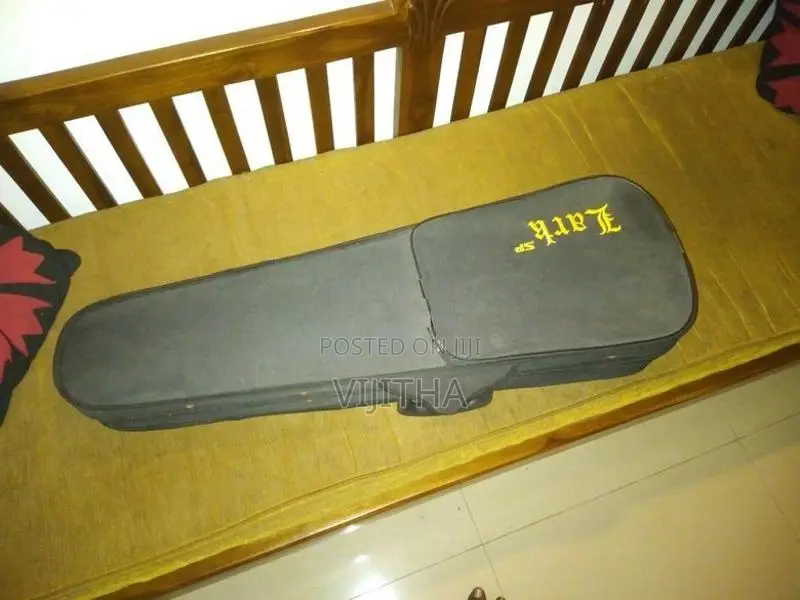 Violin